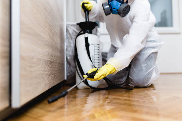 Best Pest Prevention Services  in Oronoque, CT