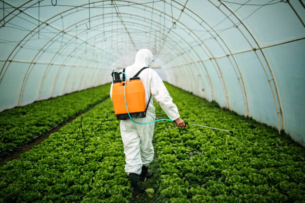 Pest Prevention Services in Oronoque, CT