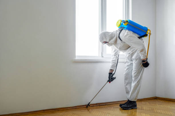 Best Pest Prevention Services  in Oronoque, CT