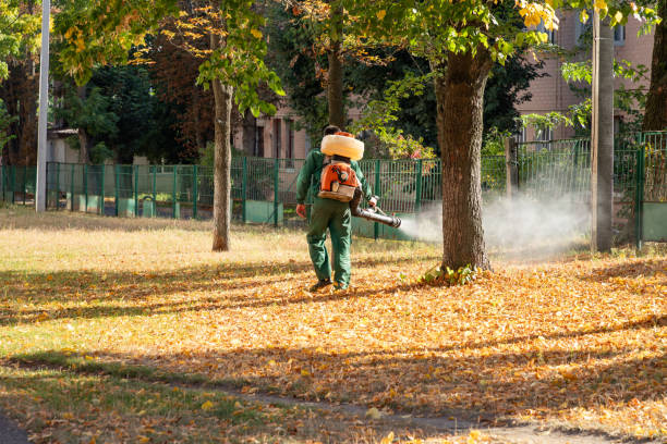 Best Bird Control  in Oronoque, CT