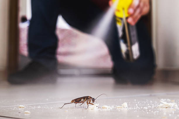 Best Commercial Pest Control Services  in Oronoque, CT