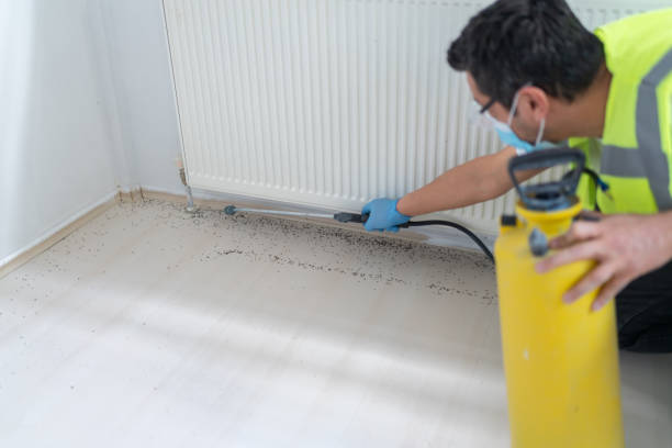 Best Pest Prevention Services  in Oronoque, CT